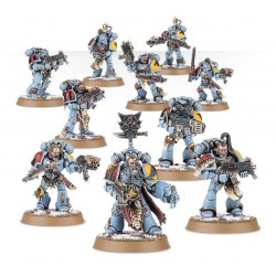 WH40K - Space Wolves Grey...