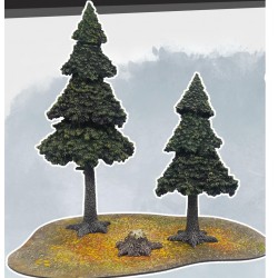 MFC - Evergreen Pine Forest