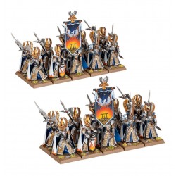 TOW - Phoenix Guard