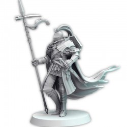 Eldfall Guildsworn Knight