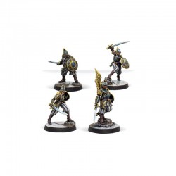 Warcrow - Black Legion...